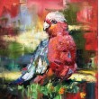 Galah